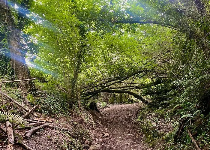 Apartment Bilbo Near Atico Rural Con Terraza