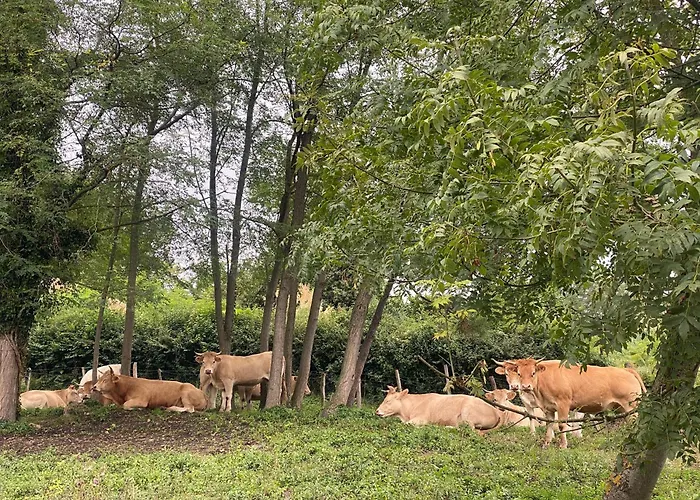 Bilbo Near Atico Rural Con Terraza * Basauri