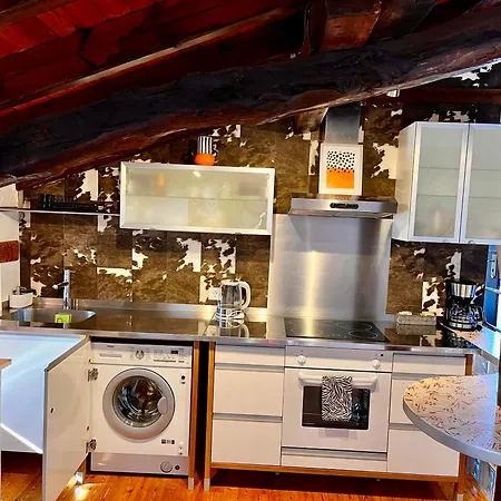 Bilbo Near Atico Rural Con Terraza * Basauri