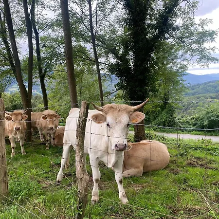 Bilbo Near ático Rural Con Terraza Apartamento *