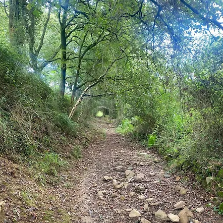 Bilbo Near Atico Rural Con Terraza Apartment Basauri