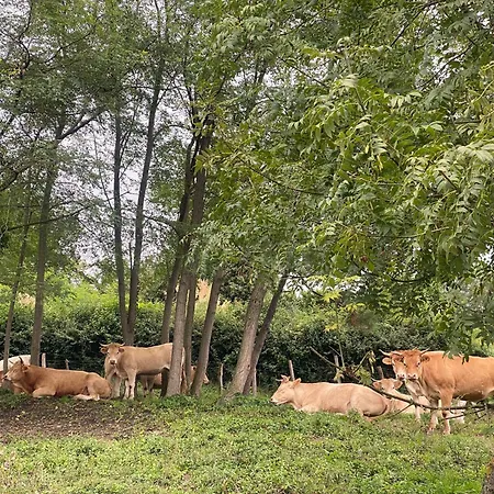 Bilbo Near ático Rural Con Terraza * Basauri