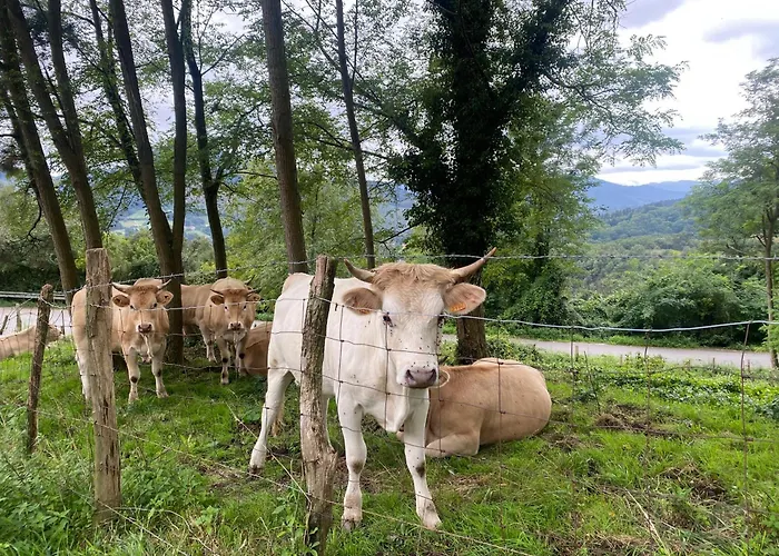 Bilbo Near Atico Rural Con Terraza Apartment *