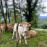 Bilbo Near Atico Rural Con Terraza דירה *