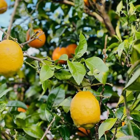 Bilbo Near ático Rural Con Terraza