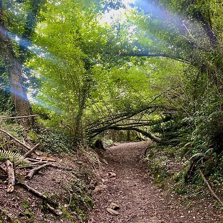 Appartamento Bilbo Near ático Rural Con Terraza
